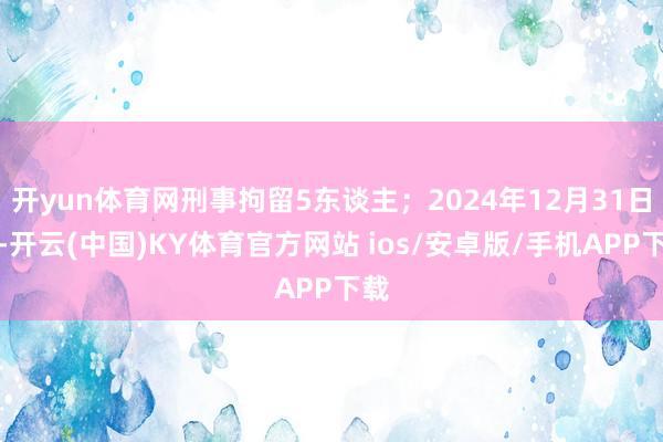 开yun体育网刑事拘留5东谈主；2024年12月31日晚-开云(中国)KY体育官方网站 ios/安卓版/手机APP下载