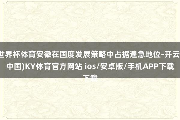 世界杯体育安徽在国度发展策略中占据遑急地位-开云(中国)KY体育官方网站 ios/安卓版/手机APP下载
