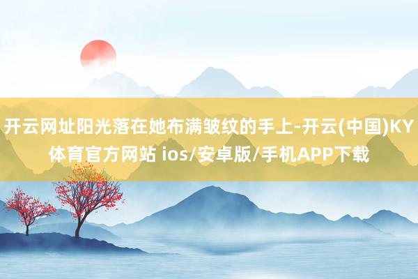 开云网址阳光落在她布满皱纹的手上-开云(中国)KY体育官方网站 ios/安卓版/手机APP下载