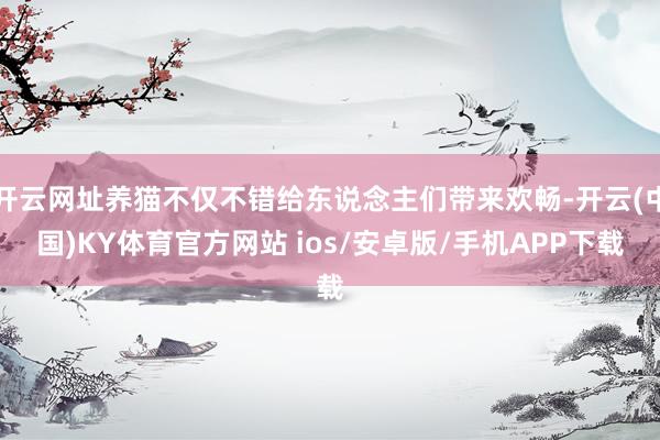 开云网址养猫不仅不错给东说念主们带来欢畅-开云(中国)KY体育官方网站 ios/安卓版/手机APP下载