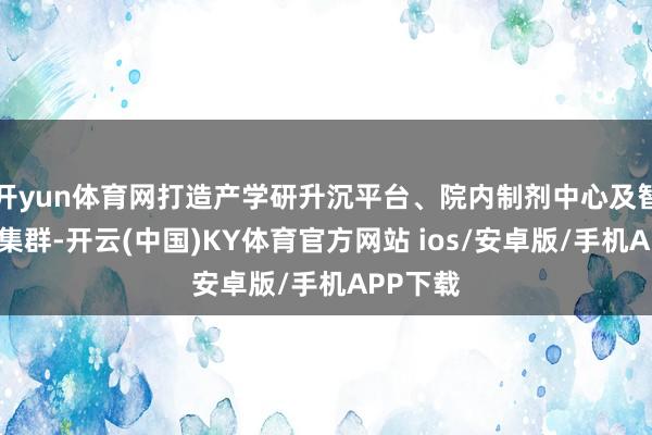 开yun体育网打造产学研升沉平台、院内制剂中心及智能坐褥集群-开云(中国)KY体育官方网站 ios/安卓版/手机APP下载