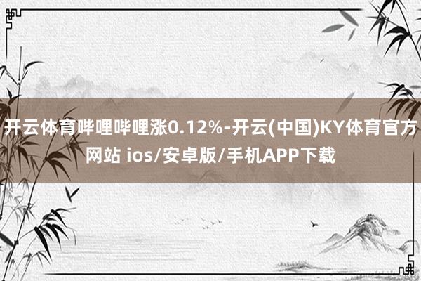 开云体育哔哩哔哩涨0.12%-开云(中国)KY体育官方网站 ios/安卓版/手机APP下载