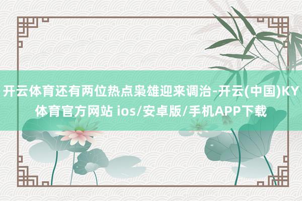 开云体育还有两位热点枭雄迎来调治-开云(中国)KY体育官方网站 ios/安卓版/手机APP下载