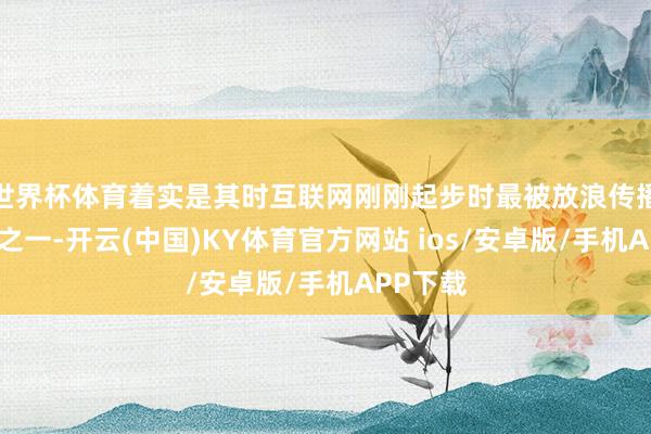 世界杯体育着实是其时互联网刚刚起步时最被放浪传播的场景之一-开云(中国)KY体育官方网站 ios/安卓版/手机APP下载