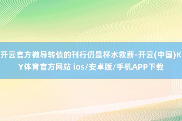 开云官方微导转债的刊行仍是杯水救薪-开云(中国)KY体育官方网站 ios/安卓版/手机APP下载