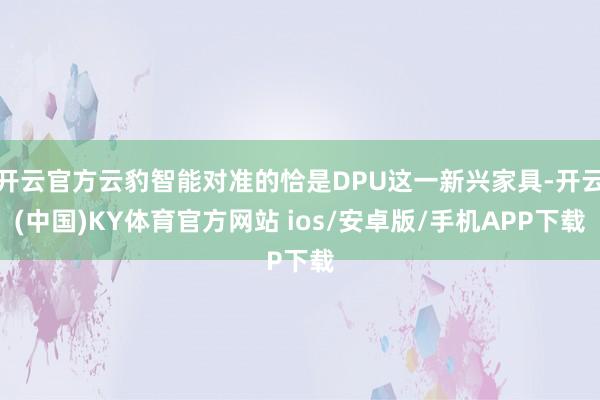 开云官方云豹智能对准的恰是DPU这一新兴家具-开云(中国)KY体育官方网站 ios/安卓版/手机APP下载