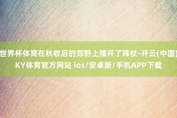 世界杯体育在秋收后的郊野上摆开了阵仗-开云(中国)KY体育官方网站 ios/安卓版/手机APP下载