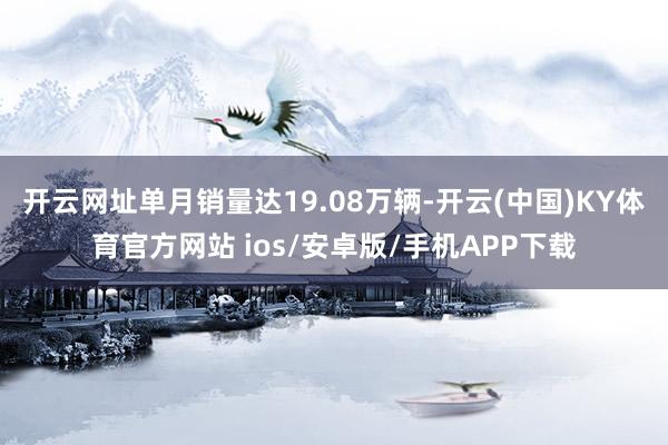 开云网址单月销量达19.08万辆-开云(中国)KY体育官方网站 ios/安卓版/手机APP下载