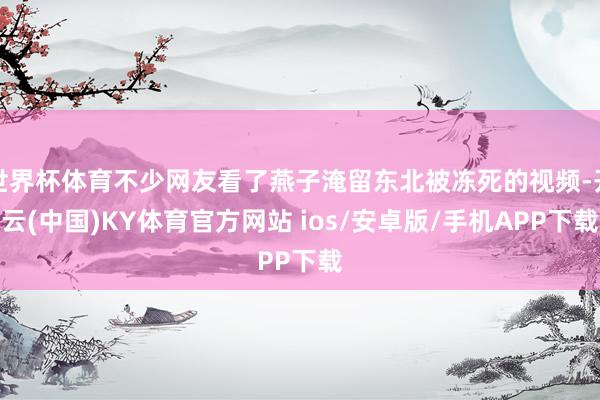 世界杯体育不少网友看了燕子淹留东北被冻死的视频-开云(中国)KY体育官方网站 ios/安卓版/手机APP下载