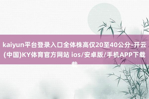 kaiyun平台登录入口全体株高仅20至40公分-开云(中国)KY体育官方网站 ios/安卓版/手机APP下载