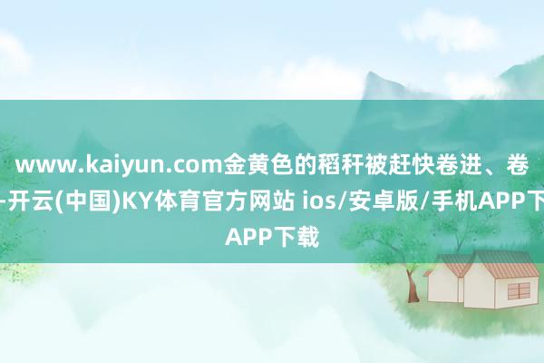 www.kaiyun.com金黄色的稻秆被赶快卷进、卷出-开云(中国)KY体育官方网站 ios/安卓版/手机APP下载