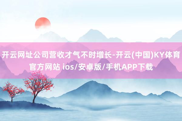 开云网址公司营收才气不时增长-开云(中国)KY体育官方网站 ios/安卓版/手机APP下载